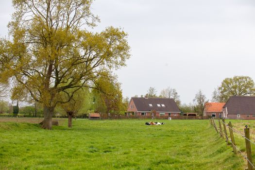 B&B vol Liefde 2026: dit zijn de nieuwe singles